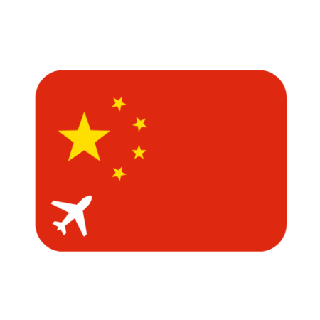 Travel Authorisation China