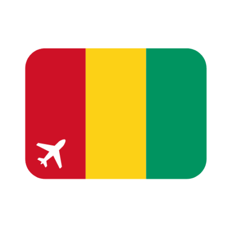 Travel Authorisation Guinea